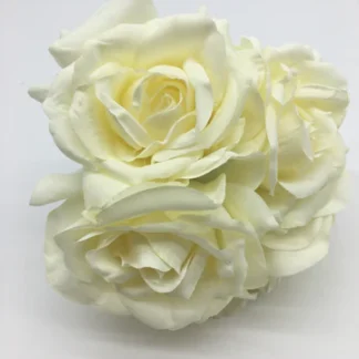 Cream Open Rose x 5