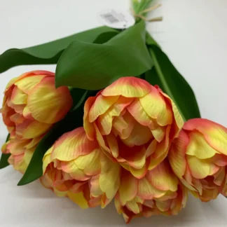 Peach Bi-Coloured Double Tulip Bundle x6 heads