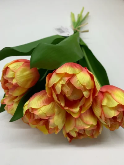 Peach Bi-Coloured Double Tulip Bundle x6 heads