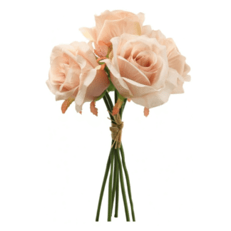 Light Pink Rose